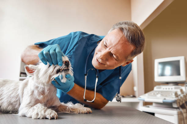 Best Pediatric Emergency Dentist in Dublin, TX