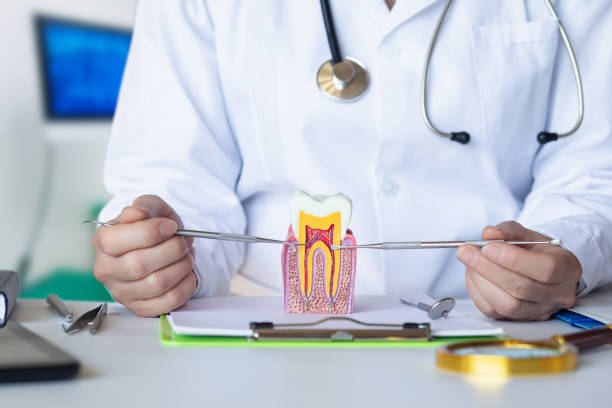 Best Emergency Root Canal Treatment in Dublin, TX